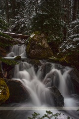 Cold Winter Washington Stream Falls.jpg